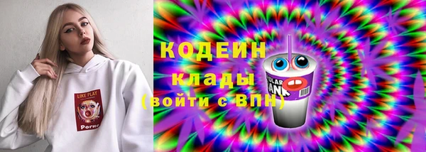 прущие грибы Верея